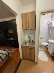 a small bathroom with a sink and a toilet at Аpartman CACA in Pančevo