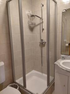 a shower in a bathroom with a toilet and a sink at Apartment Haus Dengg in Mauterndorf +28 photos