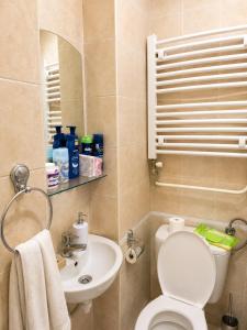a small bathroom with a toilet and a sink at Niški kutak in Niš