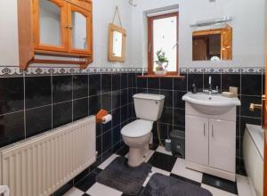 a bathroom with a toilet and a sink at Levally hs mountrivers doonbeg co clare in Kilrush