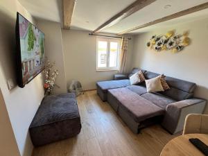 a living room with a couch and a tv at House in Obernai in Obernai
