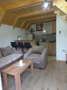 a living room with two couches and a table at Vila Milena in Žabljak