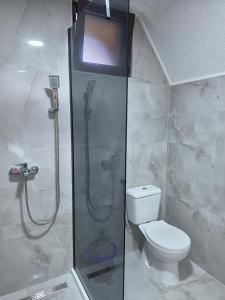 a bathroom with a shower and a toilet at Vila Milena in Žabljak