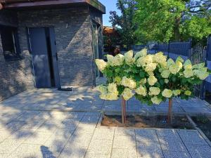 a bush of flowers in front of a building at Graphite Residence Chynowo in Chynowo +4 photos