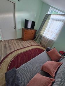 a bedroom with a bed with pillows and a television at Ananuri Veranda-Guest House in Ananuri