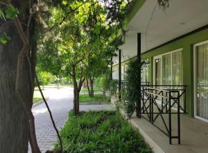Zahrada ubytování Arbor Vitae Hotel