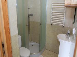 a bathroom with a shower and a toilet and a sink at Double room, sauna, Masuria in Ruciane-Nida +14 photos