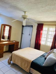 a bedroom with a bed with a ceiling fan and a mirror at Guest house 2 in Upper Conaree