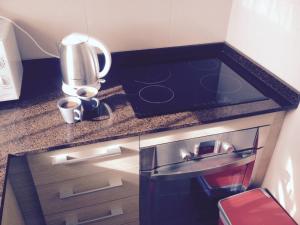 Kuchyň nebo kuchyňský kout v ubytování Apartament El Castillo De Bonalba
