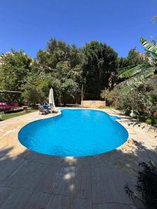 a large blue swimming pool in a yard at فيلا كوكو بقرية تونس in Tunis +17 photos