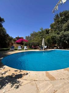 a large blue swimming pool with chairs and trees at فيلا كوكو بقرية تونس in Tunis