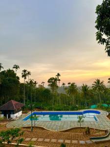 a large swimming pool with palm trees in the background at Mount Ocio Pool Resort Wayanad, Chulliyode in Ambalavayal