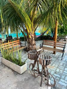 a park with benches and a palm tree and a hammock at Casa Velha Hospedagem Jacuípe in Camaçari