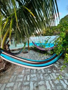 a pair of hammocks sitting under a palm tree at Casa Velha Hospedagem Jacuípe in Camaçari