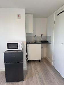 a small kitchen with a sink and a microwave at Private studio with a private bathroom and kitchenette in Edmonton