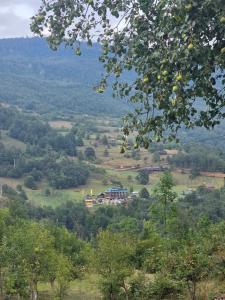 a house on top of a hill with trees at Vila Milena in Žabljak