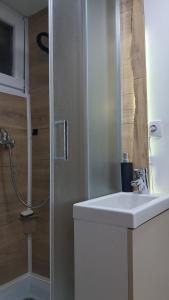 a bathroom with a sink and a shower at A frame ti i ja in Smederevska Palanka