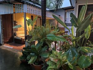 a bunch of plants in front of a house at Hidden courtyard in Ban Bang Phun