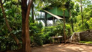a tree house in the middle of the forest at T Hill Vythiri Pool Resort in Vythiri