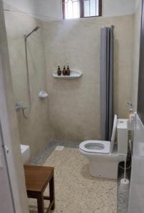 a bathroom with a toilet and a shower at Gavana House in Mfumbwi +10 photos