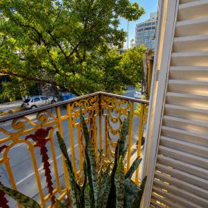 a cactus on the balcony of a building at Morada Hostel & Bar in Córdoba