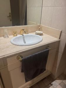 a bathroom counter with a sink and a mirror at Avenida Las Heraas in Buenos Aires