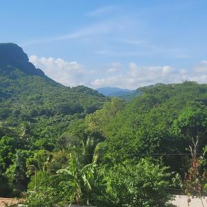 a view of a lush green valley with mountains at Torogoz Apartment km61 5 in Jicalapa