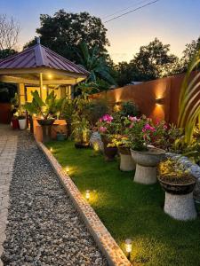 a garden with potted plants and lights on the grass at SunriseStay in Panglao Island