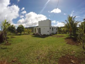 a white house in a field with palm trees at Chamarel Mirador Studio in Chamarel