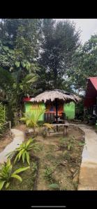 a green building with a bench in front of it at Waikiki Pacific Hostel in Buenaventura