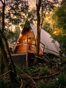 a wooden cabin in the woods with a tree at Cabana Cipó in Passo Fundo