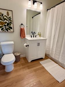 a bathroom with a toilet and a sink and a mirror at StarkVilla - The Perfect Location! in Starkville +17 photos