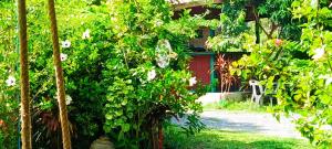a garden with trees and flowers in front of a house at PhaluayCamping in Ko Khang Tak