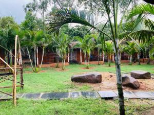 a park with a palm tree and some rocks at Sunshine café Hampi in Hampi