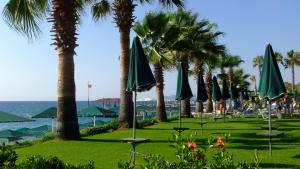 ベルディビにあるSeagull Hotelの海の横の緑傘並木