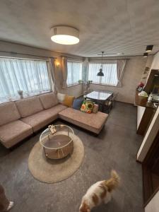 a living room with a couch and a dog in it at T'S House Numazu in Numazu +163 photos