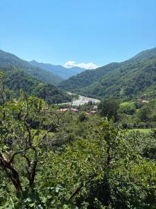 Gallery image of Eco house Luma in K'eda +3 photos