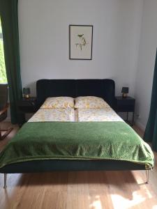 a bed with a green comforter in a bedroom at agroturystyka Drużno in Elblag