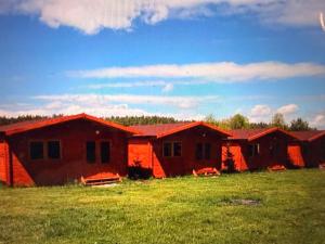 a row of houses in a field with green grass at Eco domki Mazury in Ruciane-Nida