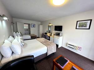 a hotel room with a bed and a television at Arran Motel in Te Anau