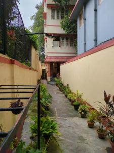 an alley with potted plants in front of a building at Disharee 51A in Kolkata