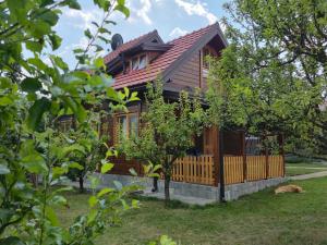 a wooden house with a dog laying in front of it at BRVNARE STOJIĆ in Kokin Brod