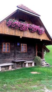 ドゥガ・レサにあるRustic home Miaのギャラリーの写真