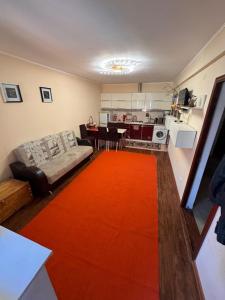 a living room with a red rug and a kitchen at Issyk-Kul in Balykchy