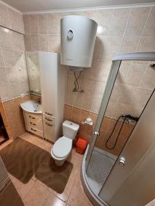 a small bathroom with a toilet and a shower at Issyk-Kul in Balykchy +1 photo