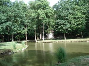 a pond with trees and a house in the background at Guesthouse Ivancica in Našice