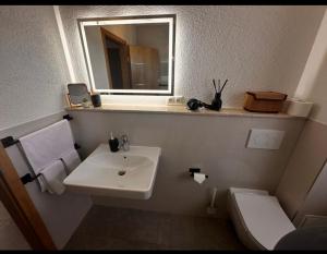 a bathroom with a sink and a toilet and a mirror at Ferienwohnung EG in Gräfenhainichen +16 photos