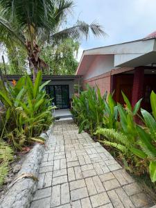 a brick walkway leading to a house with a palm tree at TAGBALAYON-GARDEN Guest House in Siquijor