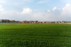 a field of green grass with trees in the background at Seelenruhe in Goch
