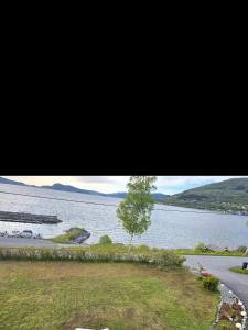 a view of a lake with a tree and a road at Apartament in Sykkylven